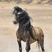 Profile Picture of Yei Dine Hicks (@leander.hicks.758) on Facebook