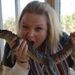 Profile Picture of Angi Pauling (@angimpauling) on Pinterest
