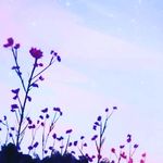 Profile Picture of 🌻Andy Perales🌻 (@andy_9732) on Instagram