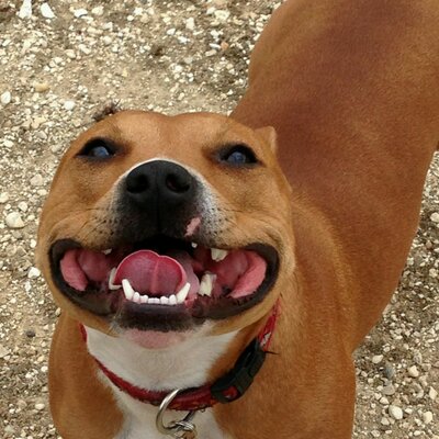 Profile Picture of Charles Pugh (@CDPDesign) on Twitter