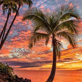 Profile Picture of ELLIE PAPRANIKU (@elliepapraniku) on Pinterest