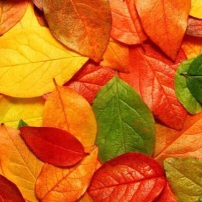 Profile Picture of Beringer Jean-claude (@bejiceh) on Twitter