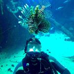 Profile Picture of Andrew Khalil (@a_deep_obsession) on Instagram