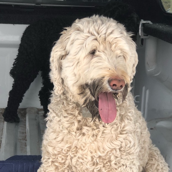 Profile Picture of Brody Rathman (@brodster89) on Poshmark