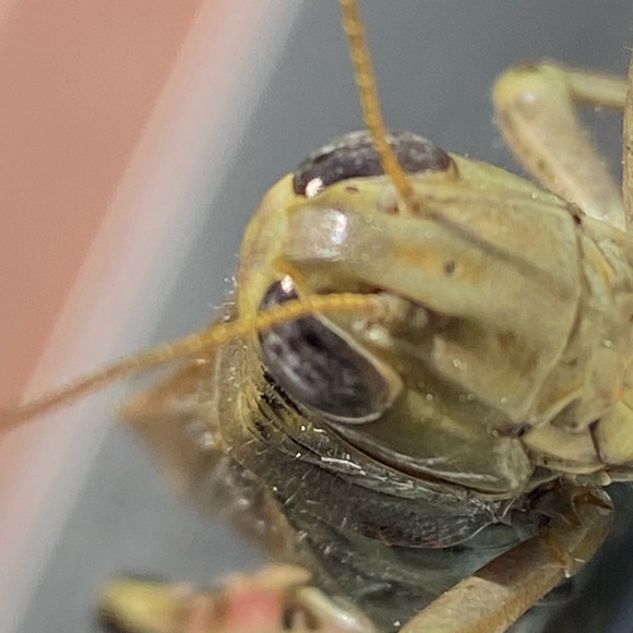 Profile Picture of Piotr Pasterz (@piotrpasterz) on Poshmark