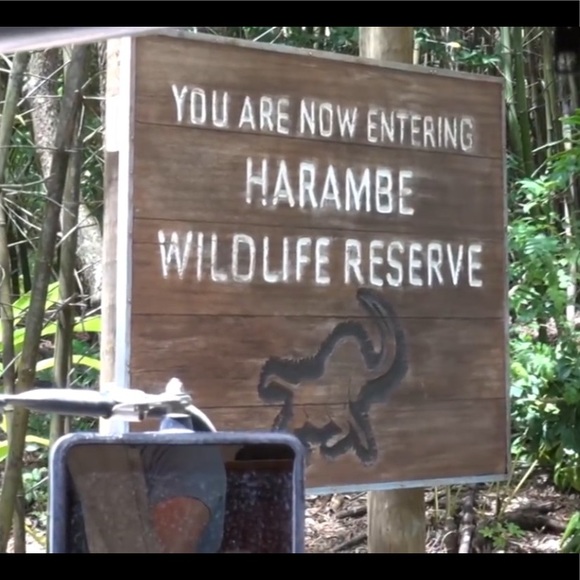 Profile Picture of Ben Rinderle (@akamu897) on Poshmark