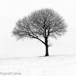 Profile Picture of Garethjones206 (@garethjones206) on Flickr