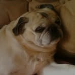 Profile Picture of Robert Kirley (@Robert-Kirley) on Facebook