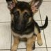 Profile Picture of Kenneth Sample (@kcisco882001) on Pinterest