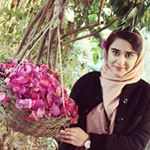 Profile Picture of Je m’appelle Farideh (@farideh.seddighi) on Instagram