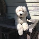 Profile Picture of George Gilbert (@george.gilbert.oes) on Instagram