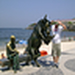 Profile Picture of Felipe Albuquerque (@Felipe Pires Albuquerque) on Flickr