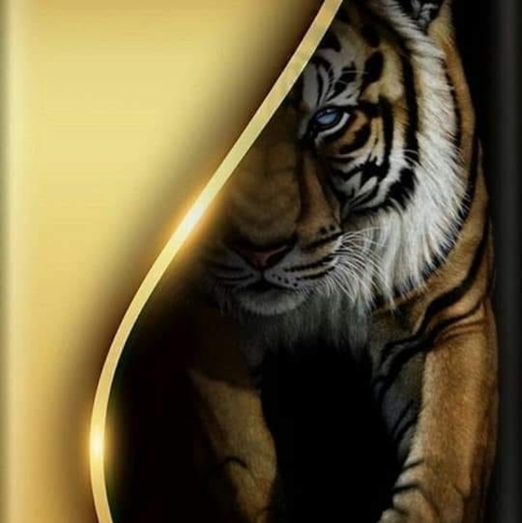 Profile Picture of Yolanda Baca-ortiz (@yoyortiz) on Poshmark