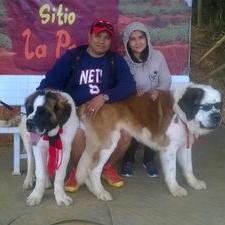 Profile Picture of Joseph Aton (@8ab9a8f876d2491) on Twitter