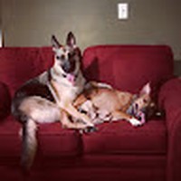 Profile Picture of Vee Ray (@vee-ray-2) on Quora