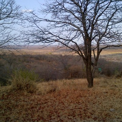 Profile Picture of Chess01 (@davidchessman) on Twitter