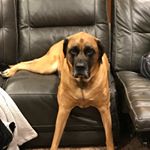 Profile Picture of Logan (@logan_keeney_) on Instagram