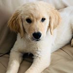Profile Picture of Bobcoleman (@bobcoleman19) on Instagram