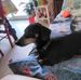 Profile Picture of Monique Laborde (@monique.laborde.313) on Facebook