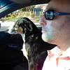 Profile Picture of Mark Rosenfeld, RAS (@maevro) on Flickr