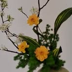 Profile Picture of Bianca Archer (@Bianca-Archer) on Facebook