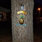 Profile Picture of Ginger Hand (@ginger.hand.3) on Instagram