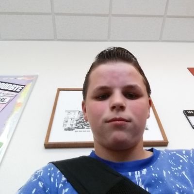 Profile Picture of Gabriel Hanson (@gabriel_hanson) on Twitter