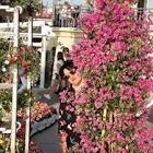 Profile Picture of   Grazia Pragliola... (@graziapragliola1) on Tiktok
