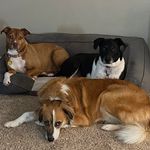 Profile Picture of Jessica Mauras Oshiro (@jmosh72) on Instagram