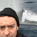Profile Picture of Barry Oreilly (@boirishrover1) on Instagram