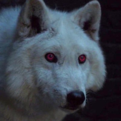 Profile Picture of Michael (@Mike_Freitas117) on Twitter