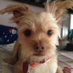 Profile Picture of Luke Bolger (@luke.bolger) on Instagram