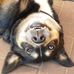 Profile Picture of Heinz Friedrich (@Heinz-Friedrich) on Facebook