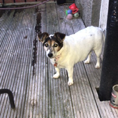 Profile Picture of Laura McGuinness (@lauramcg1980) on Twitter