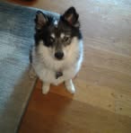 Profile Picture of Donna Olszewski (@donna.olszewski.73) on Facebook