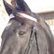 Profile Picture of Dixie Nieuwenhuis (@dixie.nieuwenhuis) on Facebook
