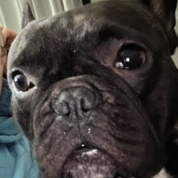 Profile Picture of Brett Hillson (@bertwillson) on Tiktok