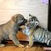 Profile Picture of Janet Gaylord (@janetgaylord.com.3) on Facebook