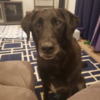 Profile Picture of Daniel (@daniel.agrimson) on Instagram