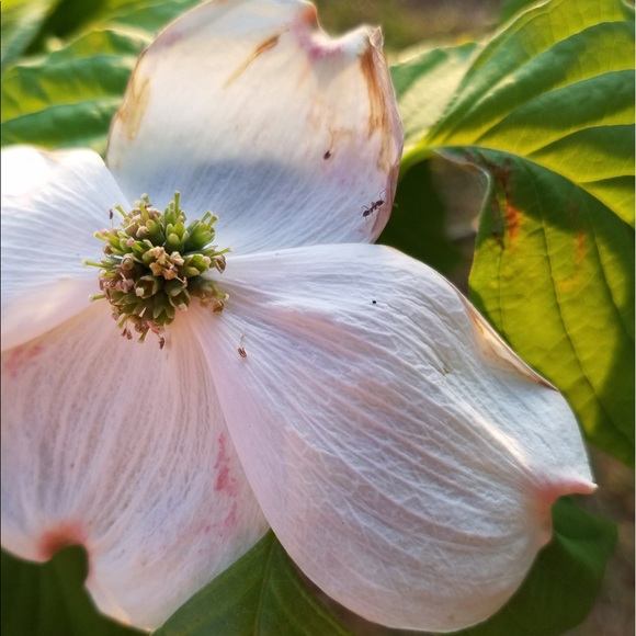 Profile Picture of Autumn Meredith (@aameredith21) on Poshmark