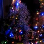 Profile Picture of Julia (@juliacoline) on Instagram