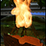 Timal1 - Flickr Profile Picture of Timal1 (@timal1) on Flickr