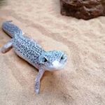 Profile Picture of Joseph Hill (@joseph_hill_1) on Instagram