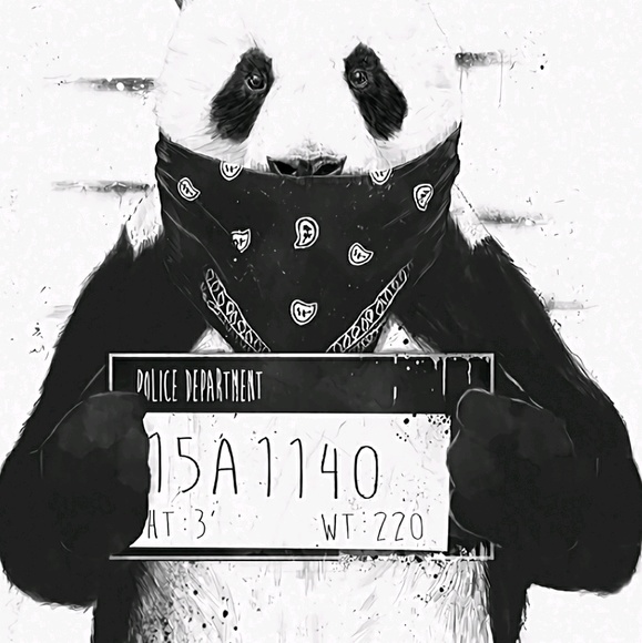 Profile Picture of Kody Sandgren (@leader22) on Poshmark