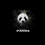 Profile Picture of Sergej Pandurević (@_turbo.panda_) on Instagram