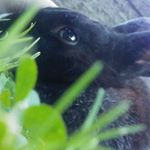 Profile Picture of Michael Jackson (@mickidark) on Instagram