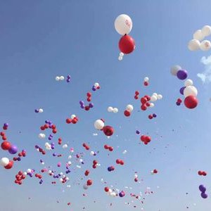 Profile Picture of Shirly Chang (@intermezzozzo) on Twitter