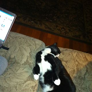 Profile Picture of Pepper Mcoy (@Pepper-Mcoy) on Facebook