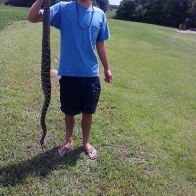 Profile Picture of Nick C. Walley (@ncwalley5) on Twitter