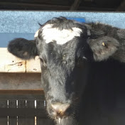 Profile Picture of Chase Hanna (@chasehanna14) on Youtube